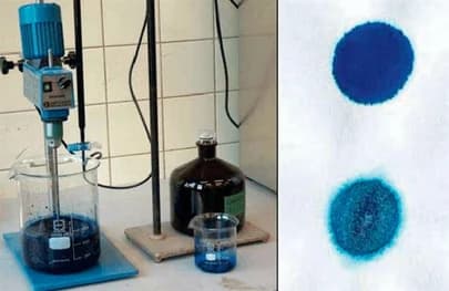 Essai au bleu de méthylène